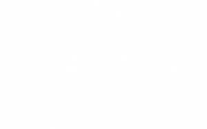 vegan_logo_feherx764